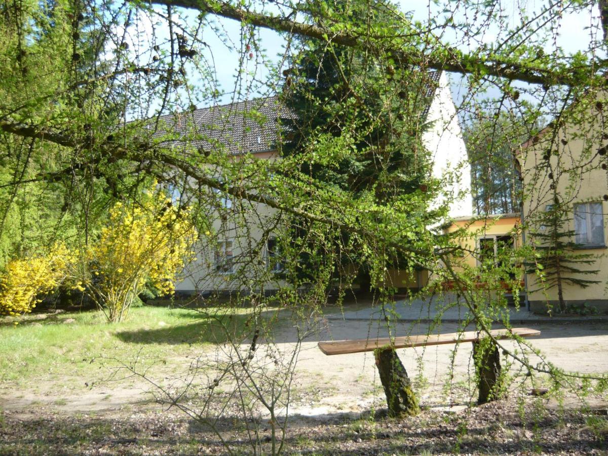 Große Wohnung Nossentiner Huette Exterior foto