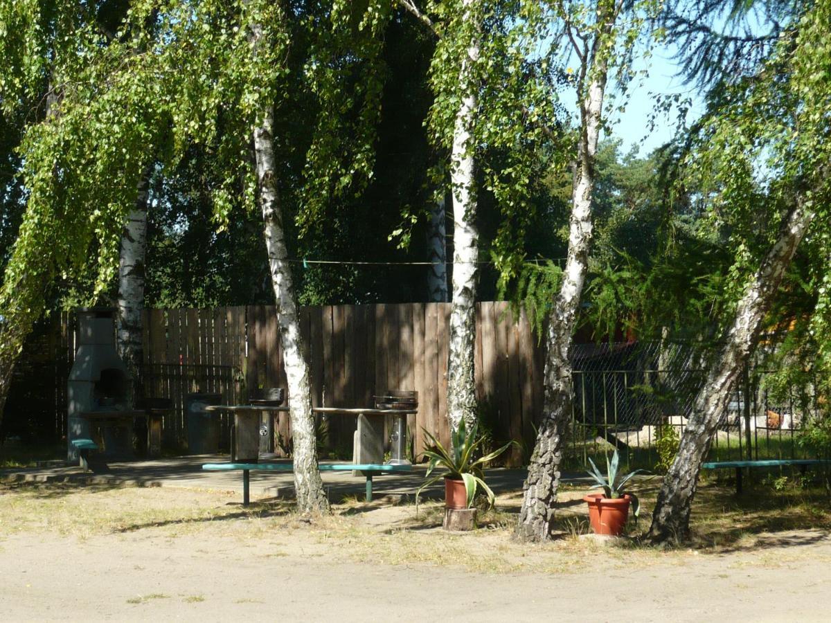 Große Wohnung Nossentiner Huette Exterior foto